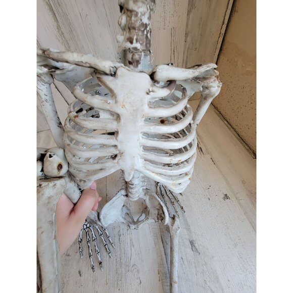 Skeleton AS IS jointed hanging Halloween home decor prop scary - Picture 8 of 15